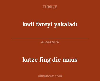 kedi fareyi yakaladı - katze fing die maus