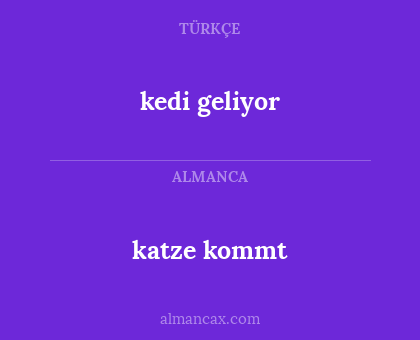 katze kommt - kedi geliyor