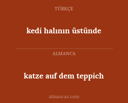 kedi halının üstünde - katze auf dem teppich