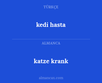 katze krank - kedi hasta