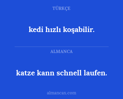 katze kann schnell laufen. - kedi hızlı koşabilir.