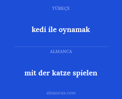 mit der katze spielen - kedi ile oynamak