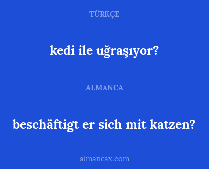 kedi ile uğraşıyor? - beschäftigt er sich mit katzen?