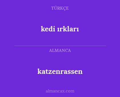 katzenrassen - kedi ırkları