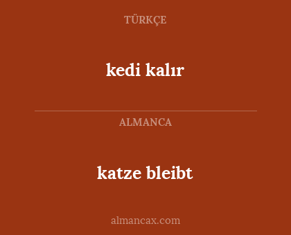 katze bleibt - kedi kalır