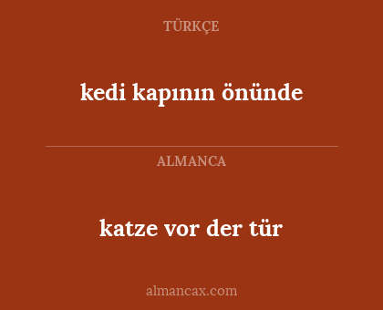katze vor der tür - kedi kapının önünde
