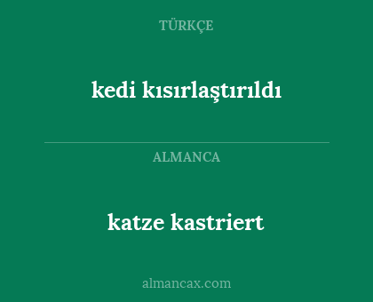 katze kastriert - kedi kısırlaştırıldı