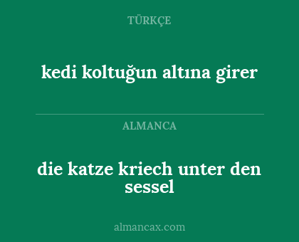 die katze kriech unter den sessel - kedi koltuğun altına girer