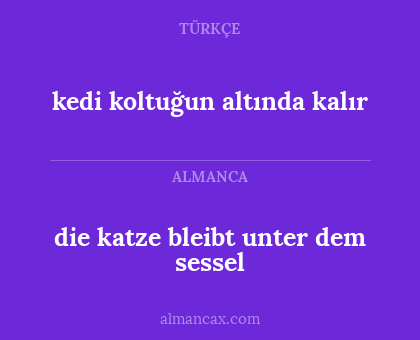 die katze bleibt unter dem sessel - kedi koltuğun altında kalır
