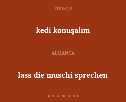 lass die muschi sprechen - kedi konuşalım