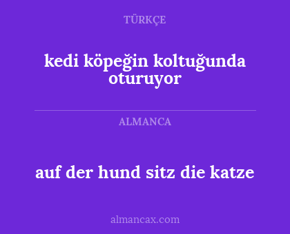 kedi köpeğin koltuğunda oturuyor - auf der hund sitz die katze