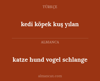 katze hund vogel schlange - kedi köpek kuş yılan