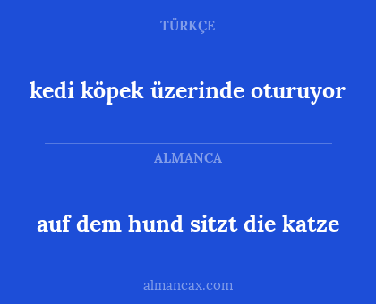 auf dem hund sitzt die katze - kedi köpek üzerinde oturuyor