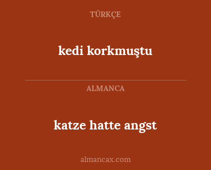 katze hatte angst - kedi korkmuştu