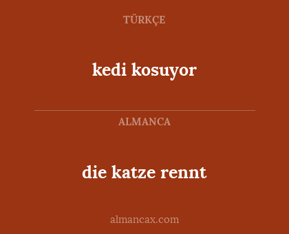 die katze rennt - kedi kosuyor