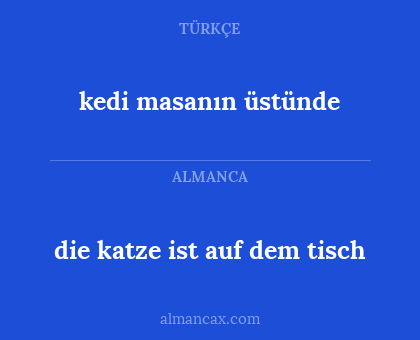 die katze ist auf dem tisch - kedi masanın üstünde