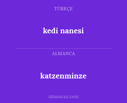 katzenminze - kedi nanesi