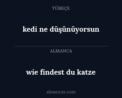 kedi ne düşünüyorsun - wie findest du katze