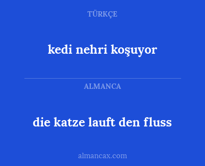 kedi nehri koşuyor - die katze lauft den fluss