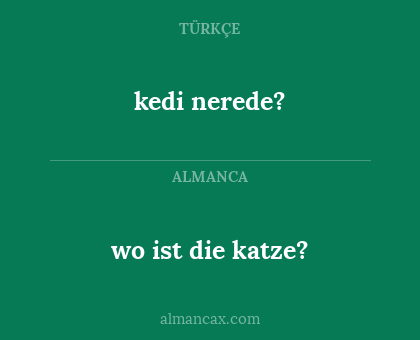 kedi nerede? - wo ist die katze?