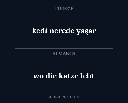 kedi nerede yaşar - wo die katze lebt