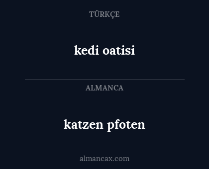katzen pfoten - kedi oatisi