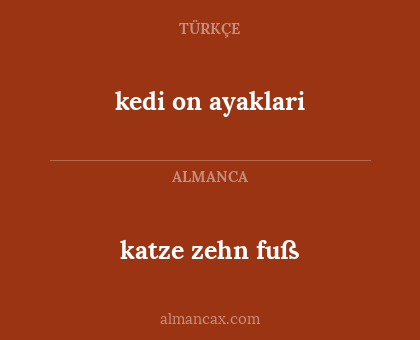 kedi on ayaklari - katze zehn fuß
