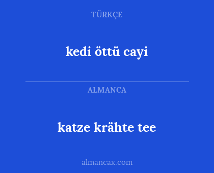 katze krähte tee - kedi öttü cayi
