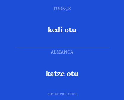 katze otu - kedi otu