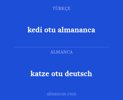 katze otu deutsch - kedi otu almananca