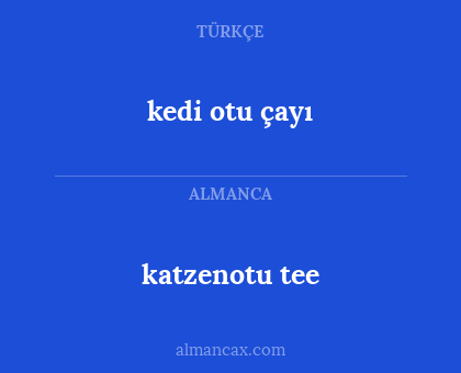 kedi otu çayı - katzenotu tee