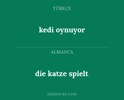 die katze spielt - kedi oynuyor