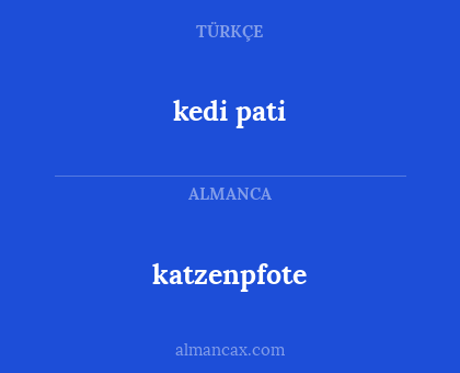 katzenpfote - kedi pati