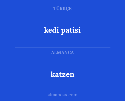 katzen - kedi patisi