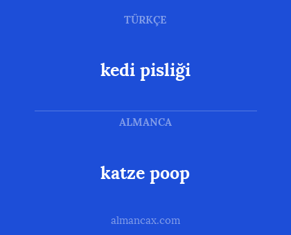 kedi pisliği - katze poop