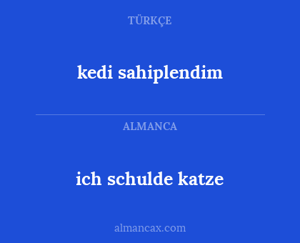 ich schulde katze - kedi sahiplendim
