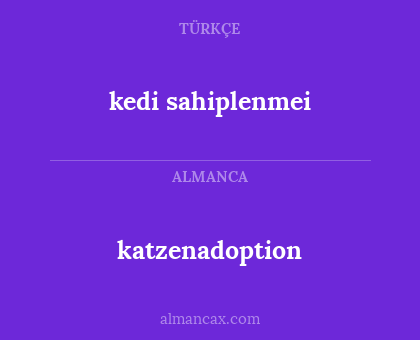 katzenadoption - kedi sahiplenmei