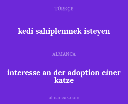 interesse an der adoption einer katze - kedi sahiplenmek isteyen