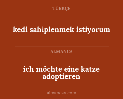 kedi sahiplenmek istiyorum - ich möchte eine katze adoptieren