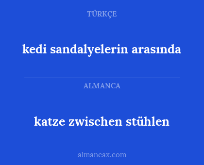 kedi sandalyelerin arasında - katze zwischen stühlen