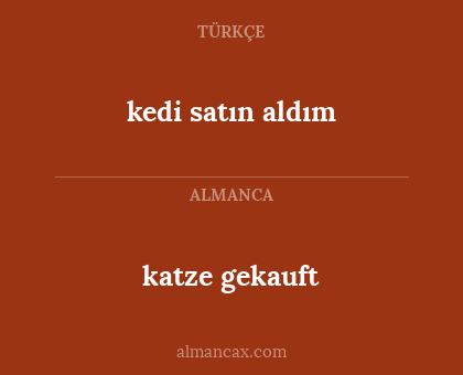 katze gekauft - kedi satın aldım