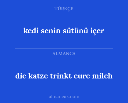die katze trinkt eure milch - kedi senin sütünü içer