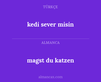 kedi sever misin - magst du katzen
