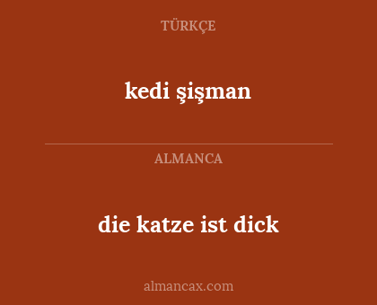 die katze ist dick - kedi şişman