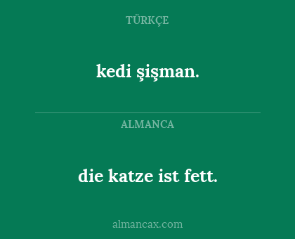 kedi şişman. - die katze ist fett.