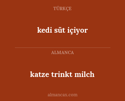 kedi süt içiyor - katze trinkt milch