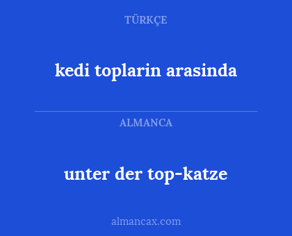 unter der top-katze - kedi toplarin arasinda