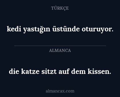 kedi yastığın üstünde oturuyor. - die katze sitzt auf dem kissen.