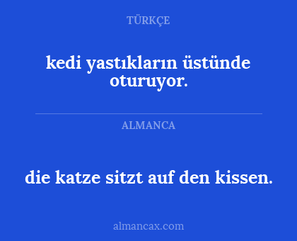 die katze sitzt auf den kissen. - kedi yastıkların üstünde oturuyor.