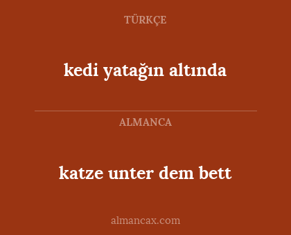 katze unter dem bett - kedi yatağın altında
